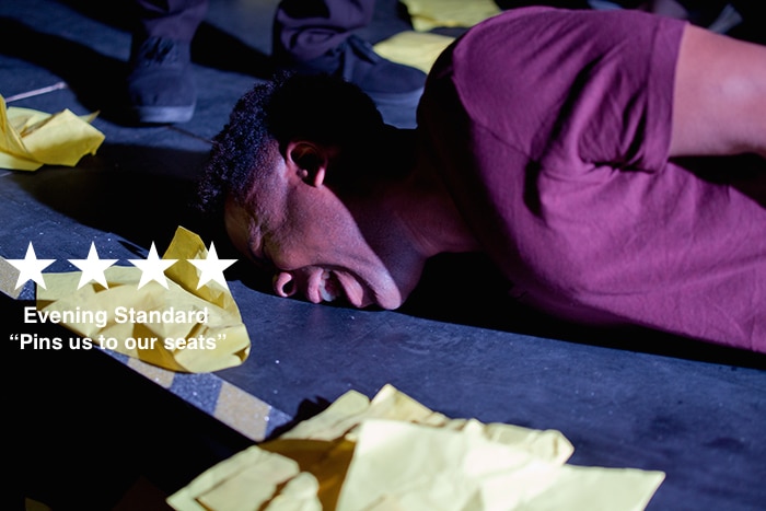 Eileen Walsh in Image of an Unkown Young Woman at Gate theatre c. Iona Firouzabadi 2015 (2)
