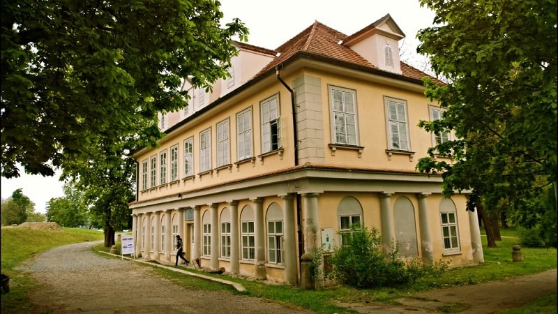 Image8